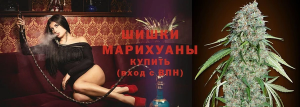 мдпв Магас